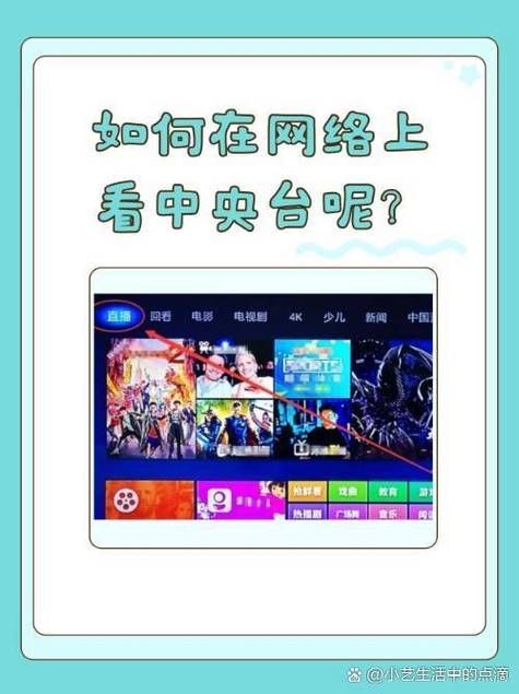 央視網如何觀看CCTV12龍魚直播？（央視網如何觀看cctv12龍魚直播）