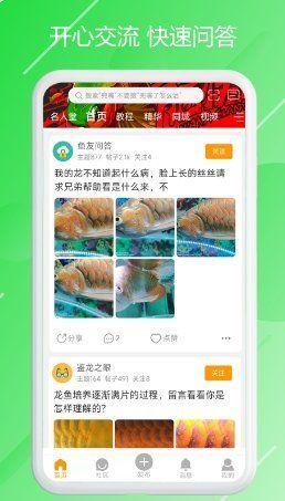 推薦一些龍魚幼苗的鑒別工具或軟件（龍魚幼苗如何鑒別）