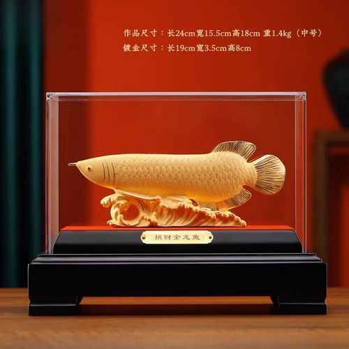 金龍魚沙金中號的價格是多少？（金龍魚沙金中號擺件價格）
