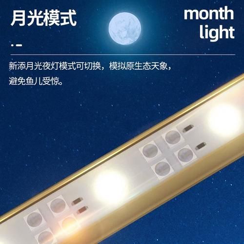 推薦幾款性價比高的紅龍魚LED燈（紅龍魚led燈具推薦：紅龍魚led燈具）