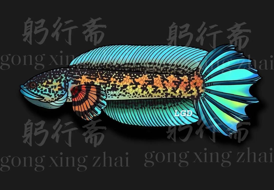 雷山龍魚有哪些獨特品種？（雷山龍魚哪個品種最稀有）