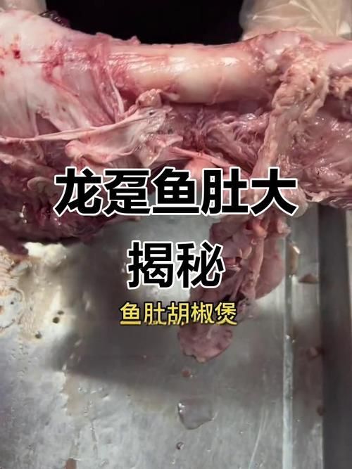如何判斷龍魚是否吃泥鰍過量？（———科學(xué)判斷龍魚是否吃泥鰍過量）