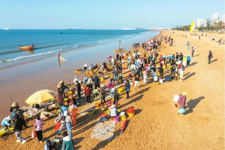 海口龍魚市場在哪里（海口龍魚市場價格如何？）