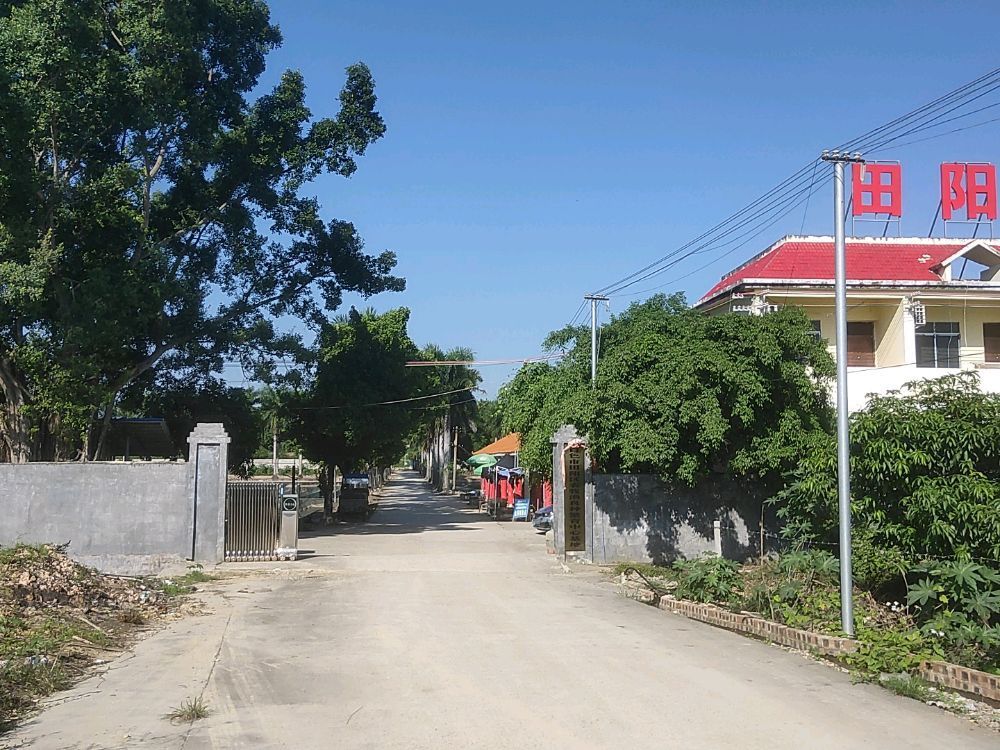 田陽龍魚市場在哪里？（廣州田陽龍魚市場位置）