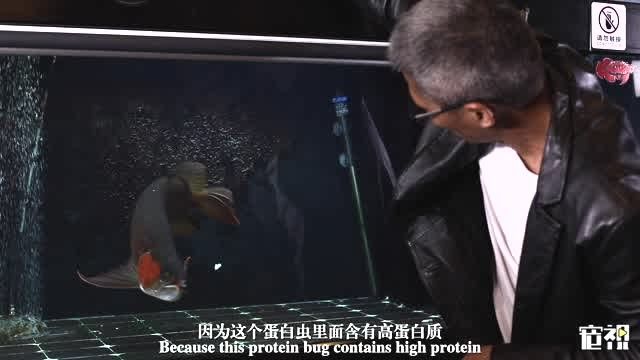 如何判斷龍魚是否適應水質？（arxiv論文助手（arxiv論文助手）：龍魚是否適應水質）