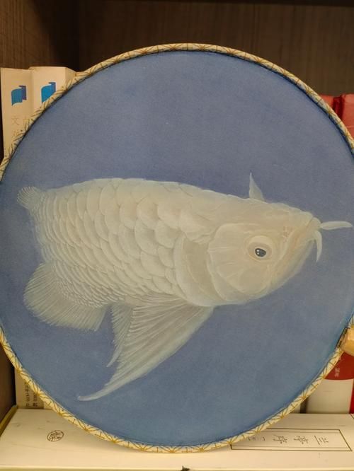 白化龍魚和白子龍魚哪個更稀有？（白化龍魚與白子龍魚的鑒別指南，白化龍魚和白子龍魚的區別）