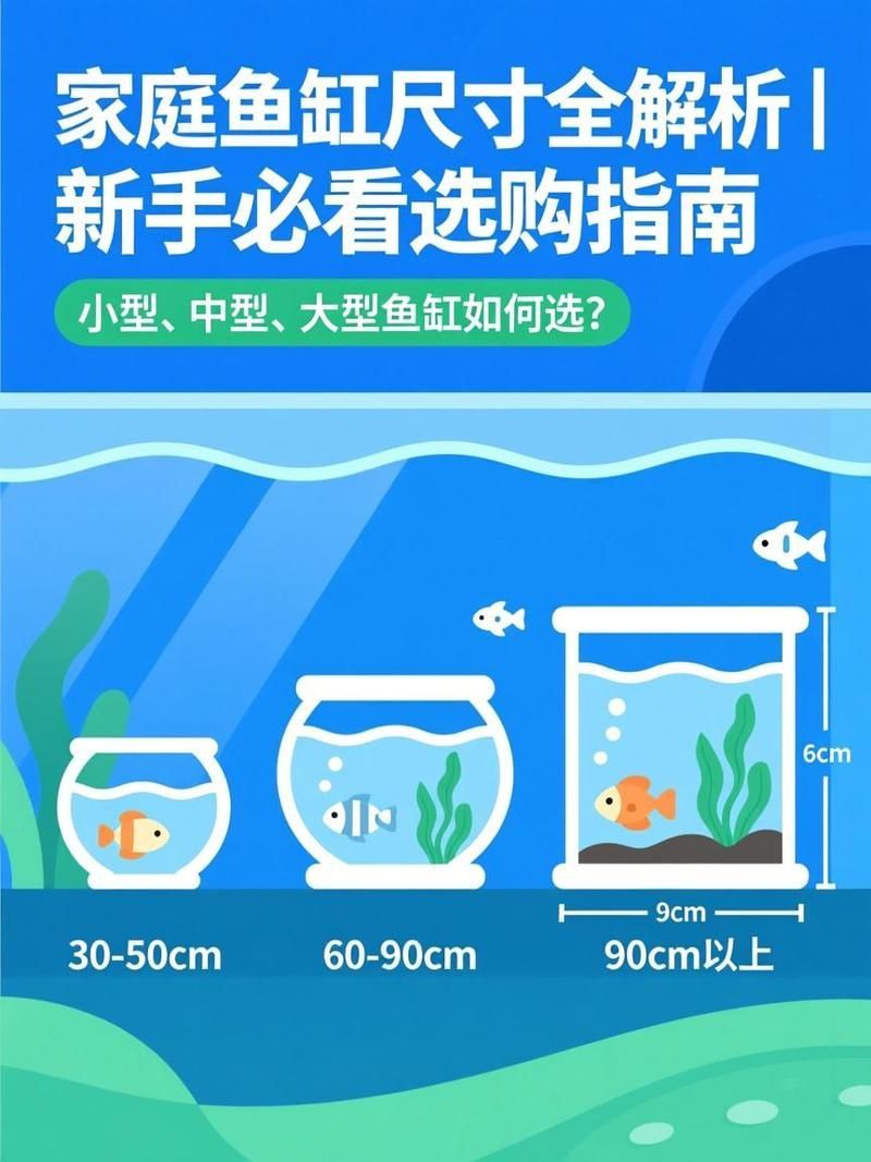 養五條魚需要多大的魚缸？（五條魚的魚缸大小取決于多種因素）