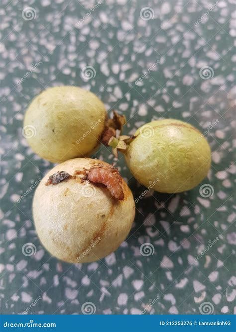 龍睛爛尾會(huì)傳染嗎