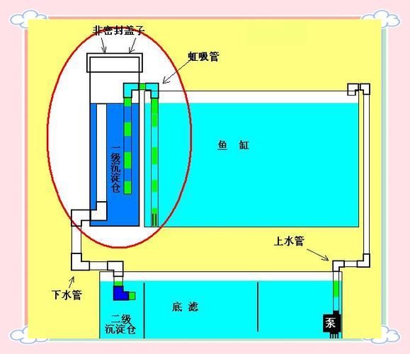 龍魚缸的過濾系統(tǒng)如何設(shè)置？（龍魚缸過濾系統(tǒng)規(guī)劃）