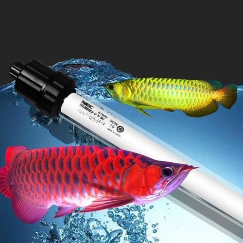 推薦幾款龍魚燈2700K和6700K的產品（2700k和6700k哪個更值得購買）