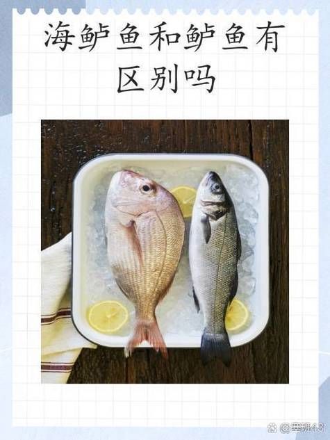 昌黎龍魚有哪些養殖技術？（富媒體組件庫昌黎龍魚養殖技術）