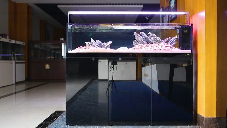 可麗愛魚缸有哪些型號(hào)？（可麗愛魚缸哪個(gè)型號(hào)性價(jià)比最高可麗愛魚缸型號(hào)對(duì)比）