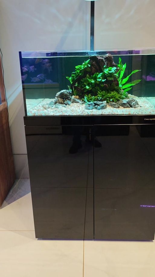 可麗愛魚缸有哪些型號(hào)？（可麗愛魚缸哪個(gè)型號(hào)性價(jià)比最高可麗愛魚缸型號(hào)對(duì)比）