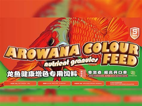 有哪些藥物可以幫助龍魚恢復體色？（如何幫助龍魚恢復體色）