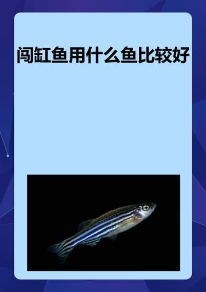 虎斑恐龍魚闖缸法具體怎么做？（關(guān)于虎斑恐龍魚闖缸的一些建議）