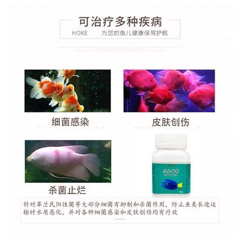 龍魚爛鰭最簡單三個步驟（治療龍魚爛鰭的三個步驟）