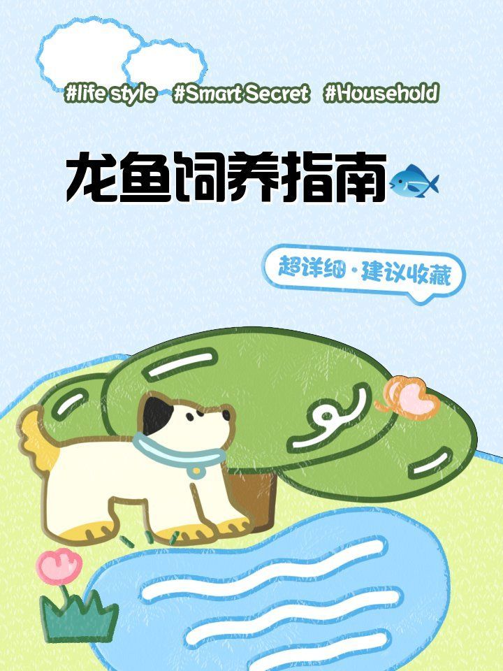 廣平龍魚養殖有哪些注意事項？（平龍魚養殖注意事項）