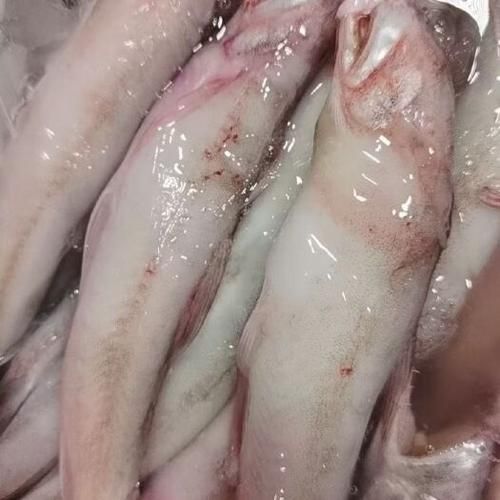 給我一些高清的水龍魚圖片（高清水龍魚圖片）