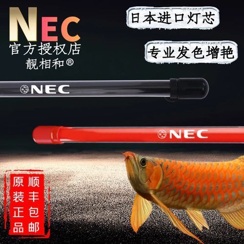 哪個(gè)品牌的NEC龍魚燈性價(jià)比最高？（nec龍魚燈哪個(gè)牌子好？）