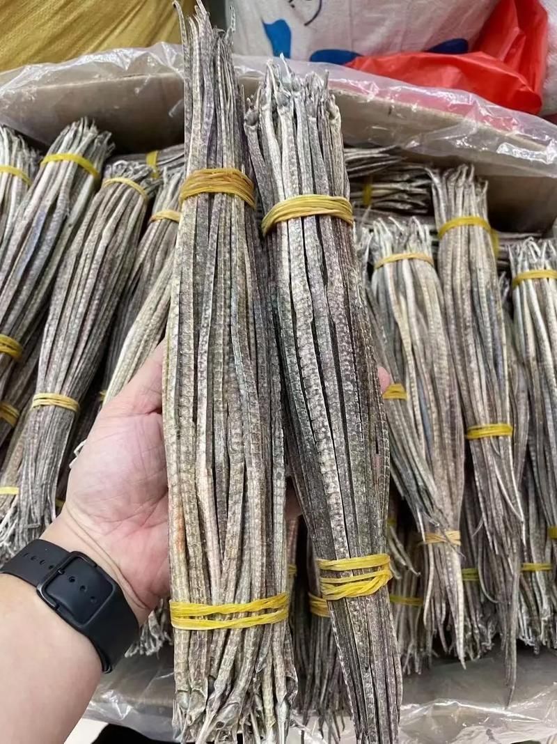 哪些品種的海龍魚受法律保護？（2021年新版《國家重點保護野生動物名錄》對海龍魚的保護政策）