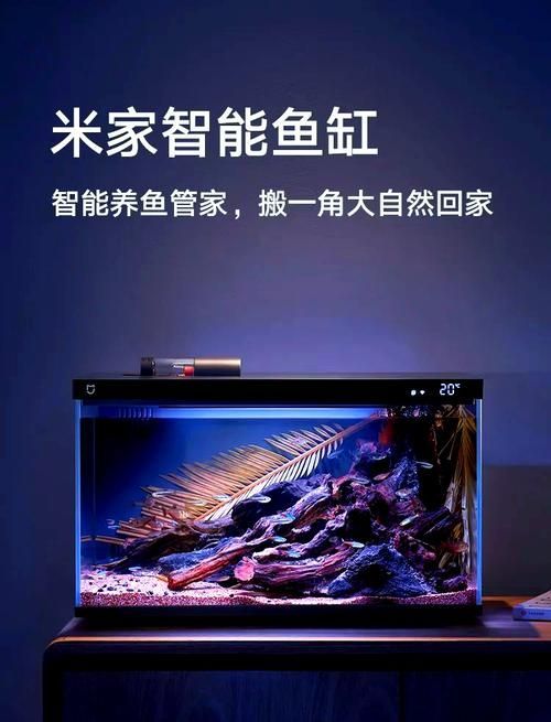 有哪些品牌的LED電子魚缸推薦？（d電子魚缸評價較高的led電子魚缸品牌及型號推薦）