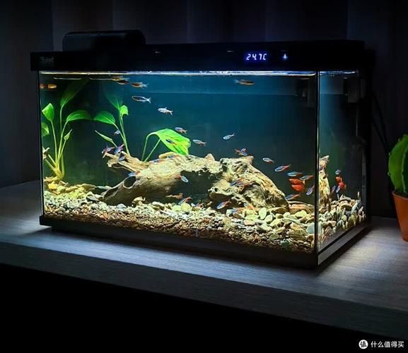 有哪些品牌的LED電子魚缸推薦？（d電子魚缸評價較高的led電子魚缸品牌及型號推薦）