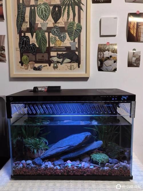 有哪些品牌的LED電子魚缸推薦？（d電子魚缸評價較高的led電子魚缸品牌及型號推薦）