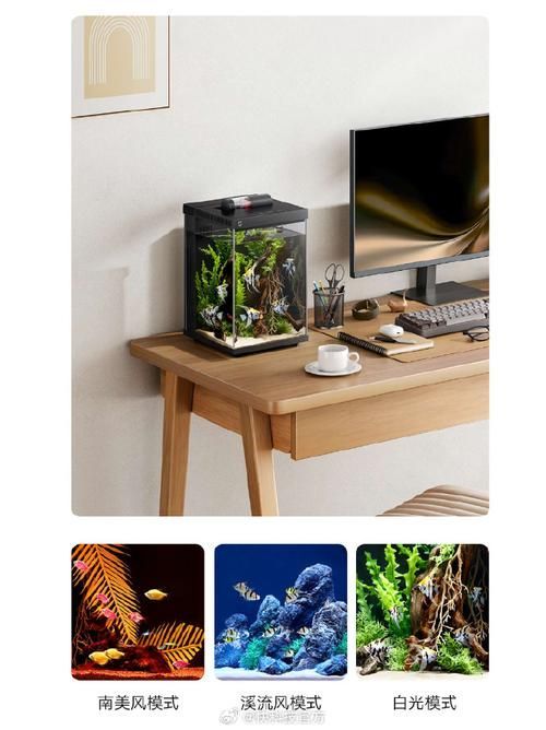 有哪些品牌的LED電子魚缸推薦？（d電子魚缸評價較高的led電子魚缸品牌及型號推薦）