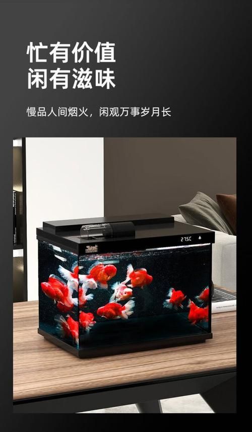 有哪些品牌的LED電子魚缸推薦？（d電子魚缸評價較高的led電子魚缸品牌及型號推薦）