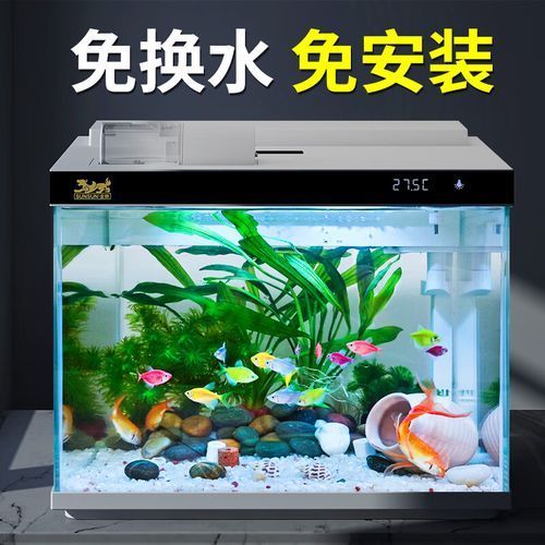 有哪些品牌的LED電子魚缸推薦？（d電子魚缸評價較高的led電子魚缸品牌及型號推薦）