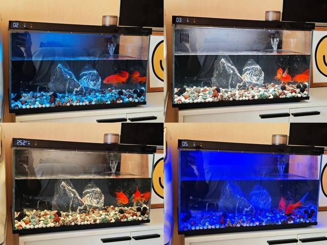 有哪些品牌的LED電子魚缸推薦？（d電子魚缸評價較高的led電子魚缸品牌及型號推薦）