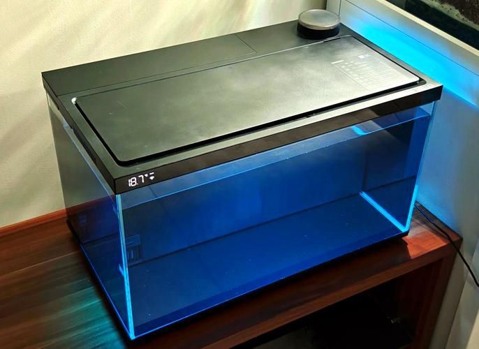 有哪些品牌的LED電子魚缸推薦？（d電子魚缸評價較高的led電子魚缸品牌及型號推薦）