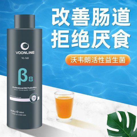 龍魚生病時應該喂什么？（龍魚生病期間如何喂養）