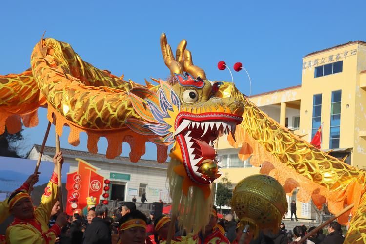 灤縣龍魚的特點是什么？（“灤縣龍魚”之名源于中國傳統文化中“灤縣龍魚”典故）