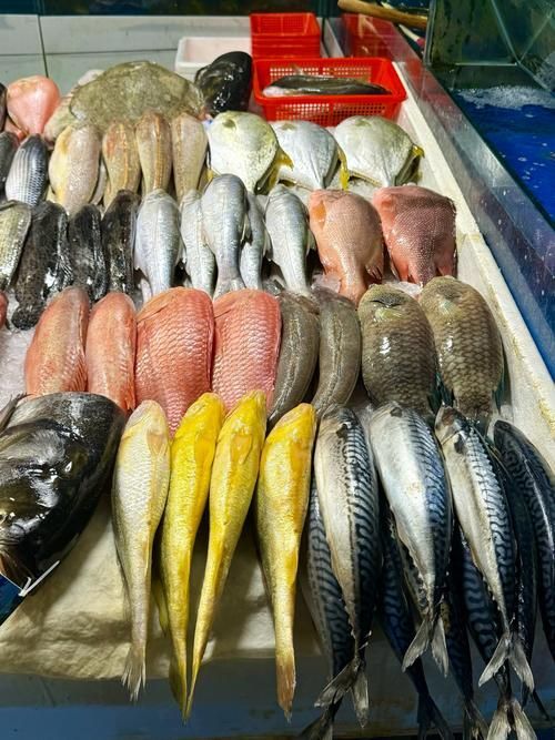 昌平龍魚的價格是多少？（“昌平龍魚”價格在每公斤200元至500元人民幣之間）