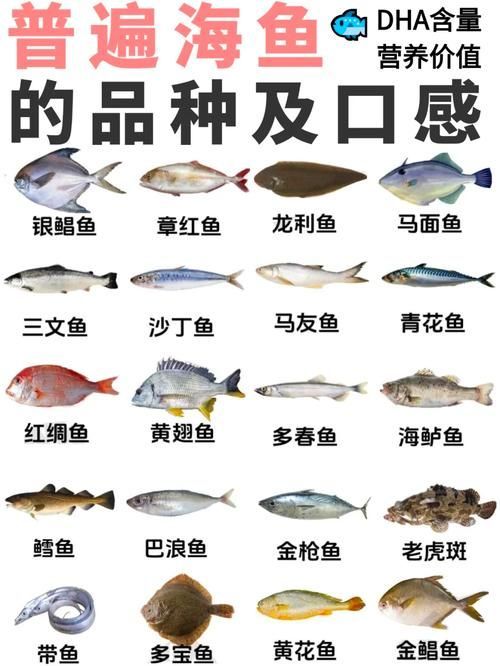 如何判斷魚缸水溫是否適宜？（——科學監測、魚缸水溫是否適宜）