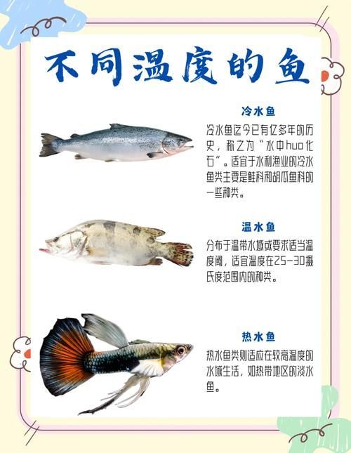 如何判斷魚缸水溫是否適宜？（——科學監測、魚缸水溫是否適宜）