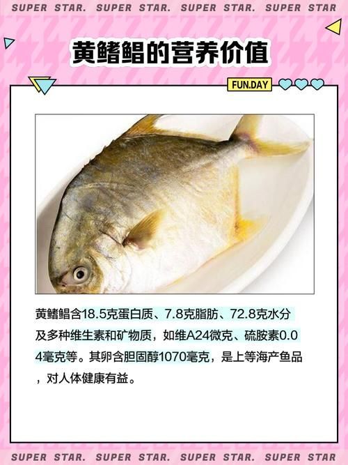 黃鰭鯧和龍魚混養(yǎng)需要多大的魚缸？（黃鰭鯧與龍魚混養(yǎng)）