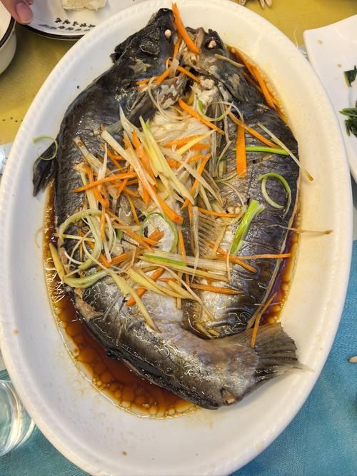 清流龍魚有哪些常見的烹飪方法？（清流龍魚的烹飪方式）