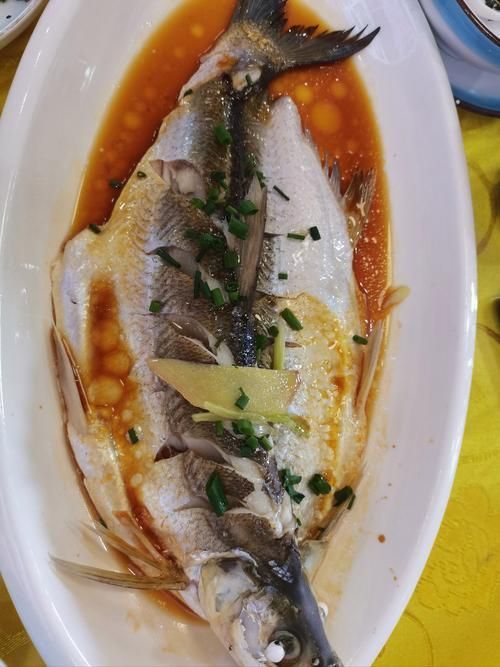 清流龍魚有哪些常見的烹飪方法?(清流龍魚的烹飪方式) 龍魚百科 第6張 清流龍魚有哪些常見的烹飪方法?(清流龍魚的烹飪方式) 清流龍魚有哪些常見的烹飪方法?(清流龍魚的烹飪方式) 龍魚百科 第6張