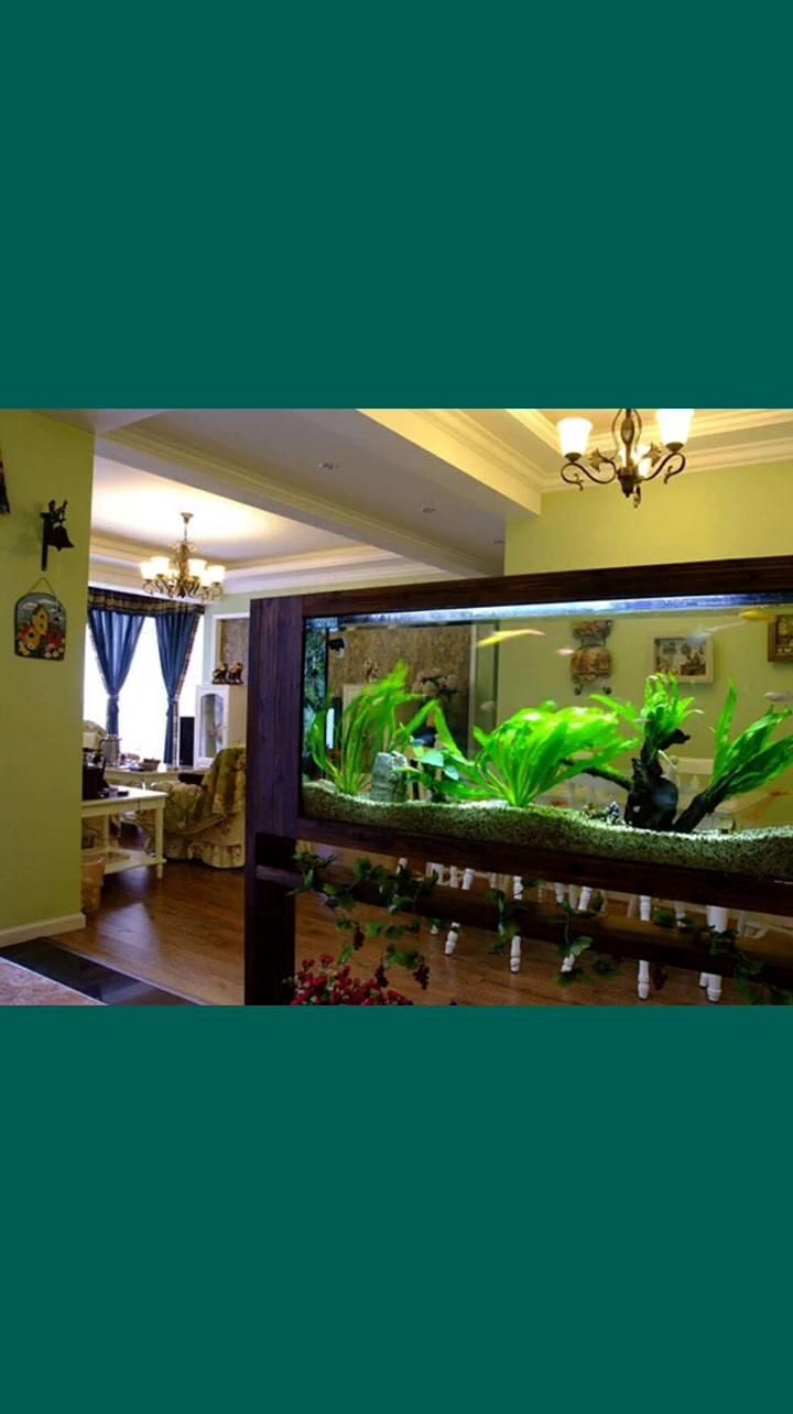 魚缸的位置擺放有什么講究？（客廳魚缸擺放位置大揭秘）