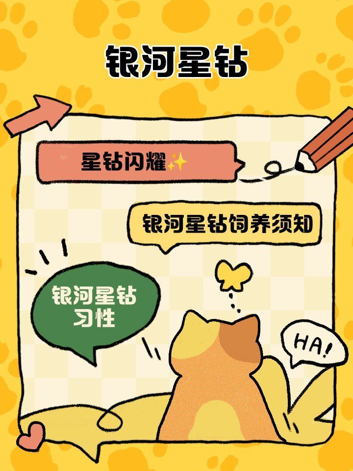 銀河星鉆混養(yǎng)需要多大的魚(yú)缸？（銀河星鉆混養(yǎng)實(shí)景圖）