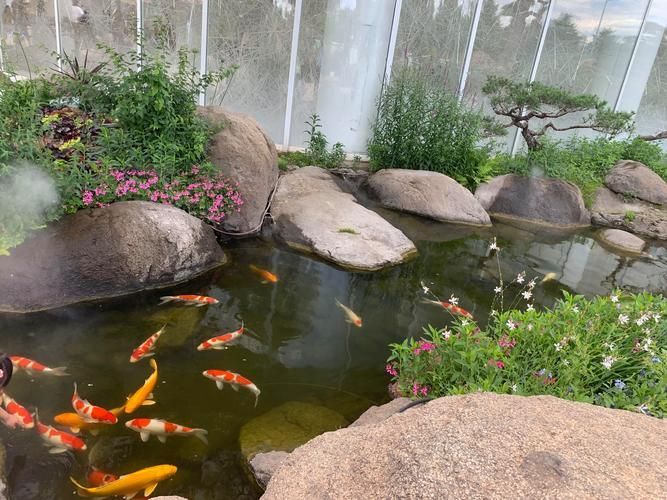 中國哪些地方適合釣龍魚（中國哪些地區適合釣龍魚？）