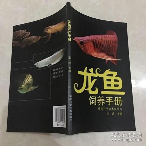 王婷編的龍魚飼養手冊在哪里可以購買到？（《龍魚飼養手冊》如何正確飼養和照顧龍魚的書籍介紹）