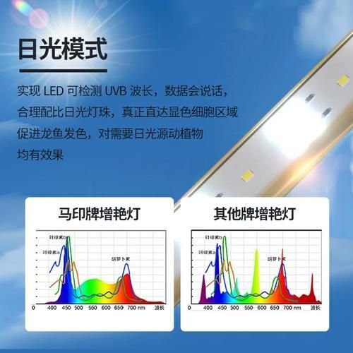 魚大師龍魚燈有用戶評價嗎？（“魚大師龍魚燈”并非一個獨立品牌或官方產品名稱）