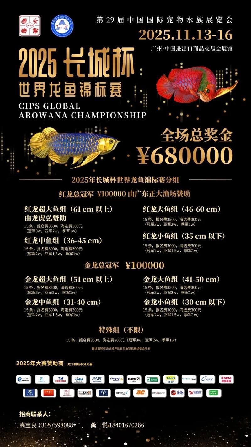 如何參與2025年龍魚大賽的報名？（2025年長城杯世界龍魚大賽報名流程圖、賽事現(xiàn)場圖和獲獎魚只視頻）