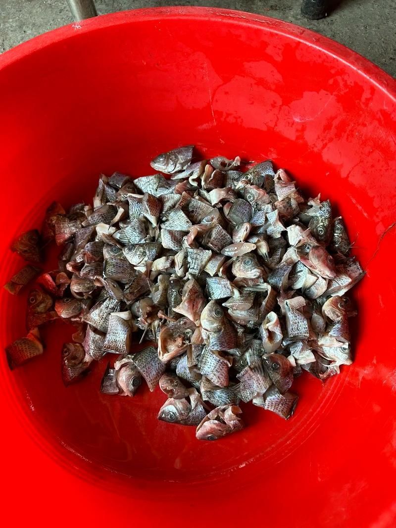 樂東黎族龍魚還有哪些特色做法？（樂東黎族龍魚的烹飪方式）