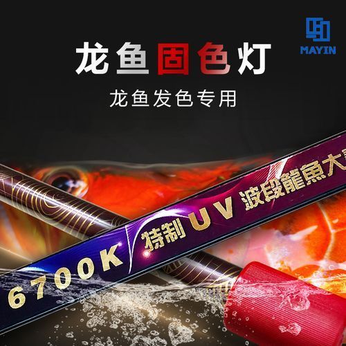 龍魚燈6700K與6500K哪個更適合金龍魚？（金龍魚6700k和6500k燈光使用技巧）