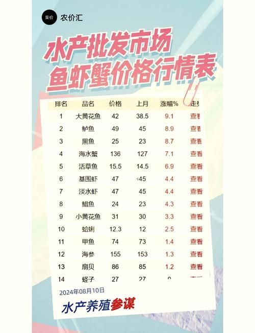 魷龍魚的市場價格波動大嗎？（近一年魷魚價格走勢分析）
