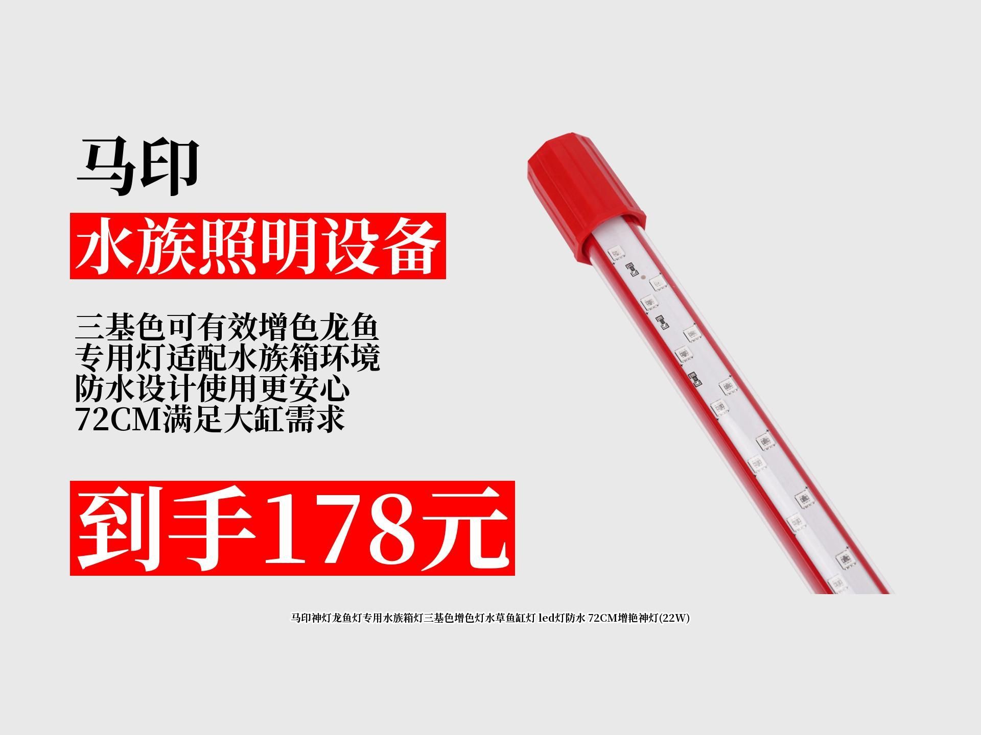 有哪些品牌的龍魚專用燈比較推薦？（龍魚專用燈具選擇）